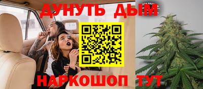 сатива Бузулук