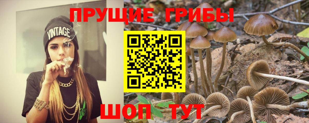 Сафоново  Галлюциногенные грибы Magic Shrooms  Вход с VPN 